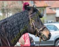 2AMAZONE- 0021